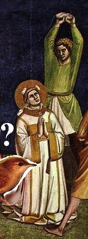 St. Stephen- What did he have to do with the wren?