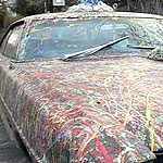 <b>Party car!</b>